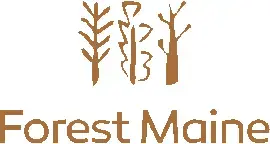 LVL - Laminated Veneer Lumber - FOREST MAINE